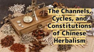 Cycles, Channels, and Constitutions in Chinese Medicine